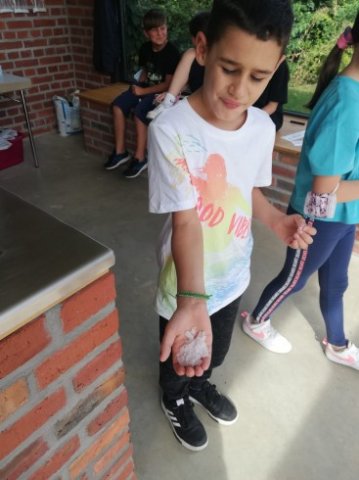 IMG-20220914-WA0015_367_490_90