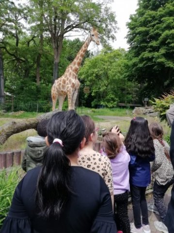 IMG-20220602-WA0004_367_490_90