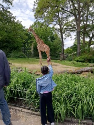 IMG-20220602-WA0005_367_490_90