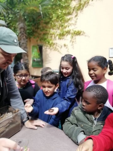 IMG-20220602-WA0009_367_490_90