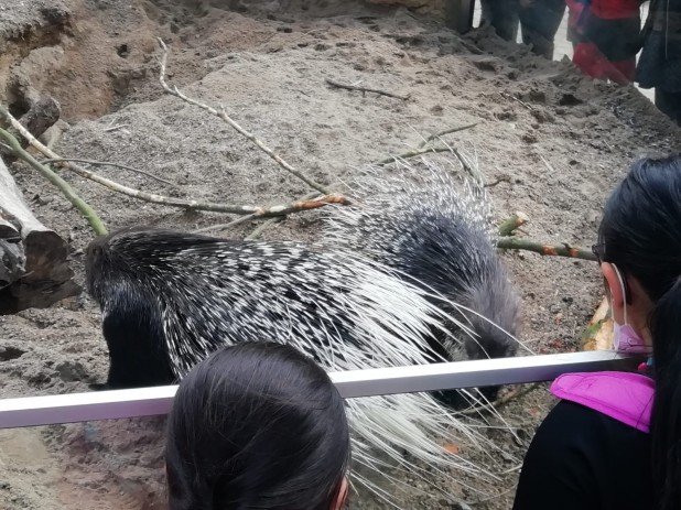 IMG-20220602-WA0011_618_463_90