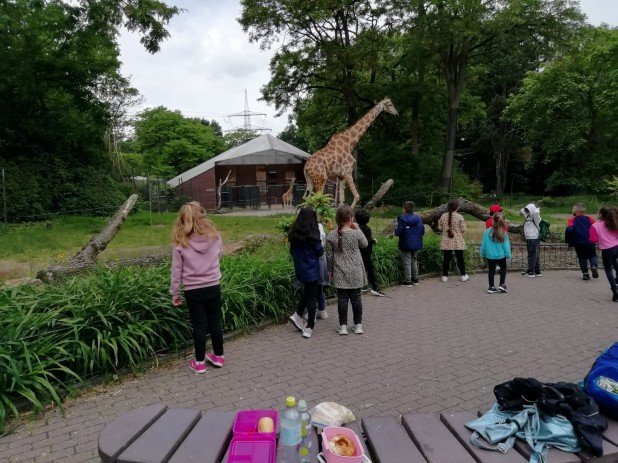 IMG-20220602-WA0013_618_463_90