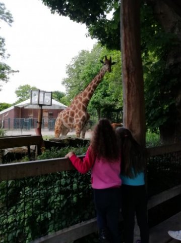 IMG-20220602-WA0014_367_490_90