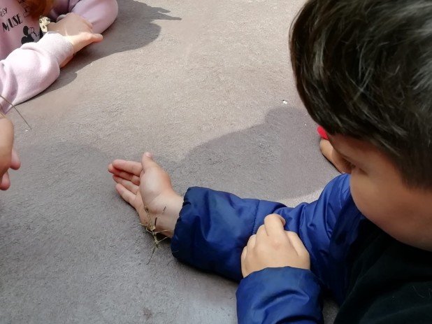 IMG-20220602-WA0015_618_463_90