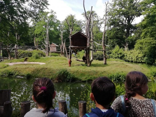 IMG-20220602-WA0016_618_463_90