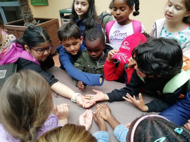 IMG-20220602-WA0018_618_463_90