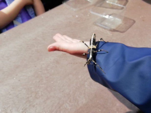 IMG-20220602-WA0019_618_463_90