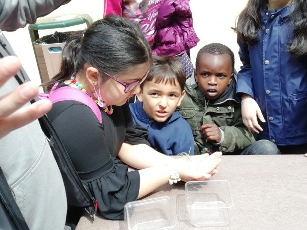 IMG-20220602-WA0022_618_463_90