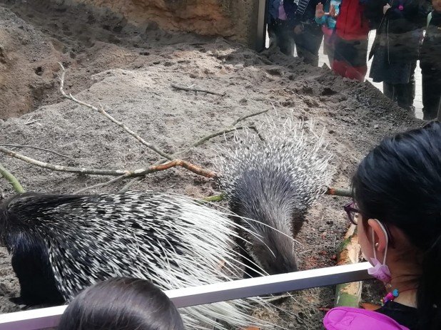 IMG-20220602-WA0023_618_463_90