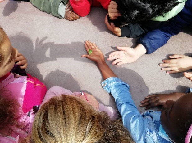 IMG-20220602-WA0025_618_463_90