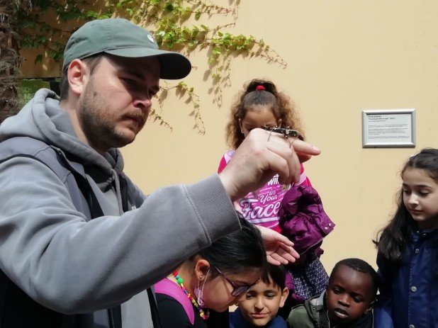 IMG-20220602-WA0027_618_463_90