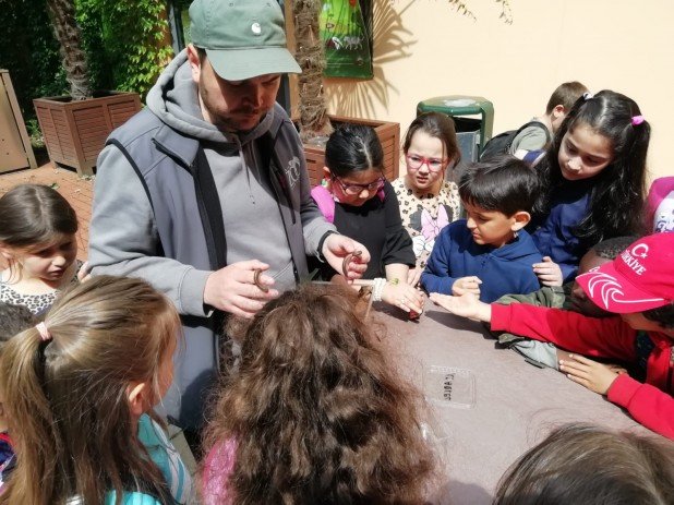 IMG-20220602-WA0031_618_463_90