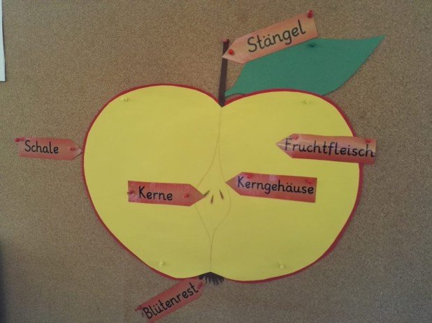 IMG-20181122-WA0002_618_463_90