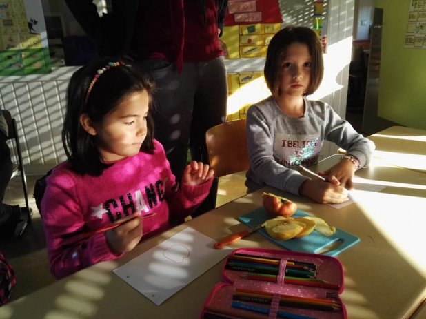 IMG-20181122-WA0008_618_463_90