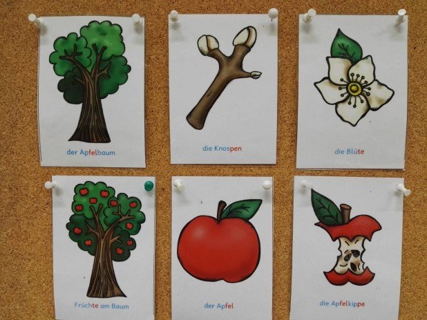 IMG-20181122-WA0020_618_463_90