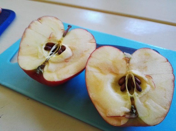 IMG-20181122-WA0023_618_463_90