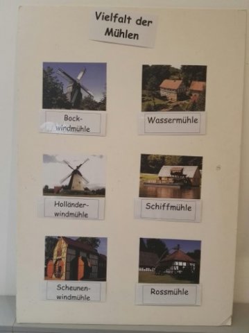 IMG-20191204-WA0002_367_490_90