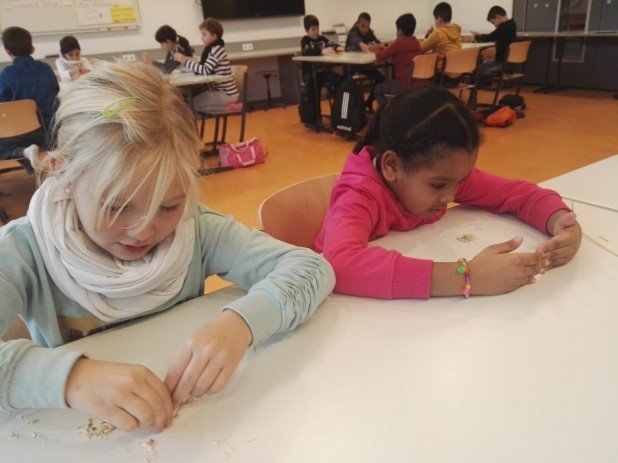 IMG-20191204-WA0006_618_463_90