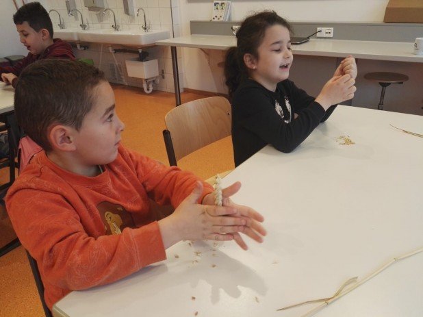 IMG-20191204-WA0011_618_463_90