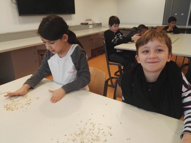 IMG-20191204-WA0016_618_463_90