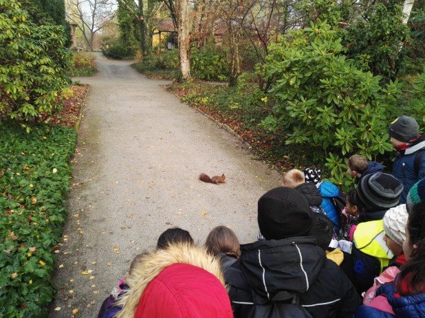 IMG-20191204-WA0018_618_463_90