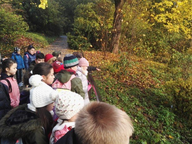 IMG-20191204-WA0021_618_463_90