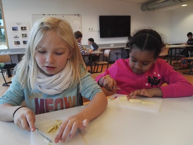 IMG-20191204-WA0024_618_463_90