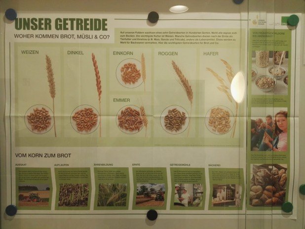 IMG-20191204-WA0034_618_463_90