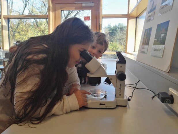 IMG-20191204-WA0052_618_463_90