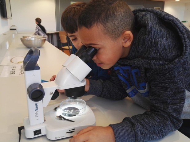 IMG-20191204-WA0054_618_463_90