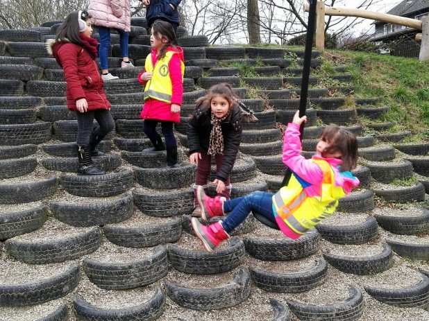 IMG-20190116-WA0006_618_463_90