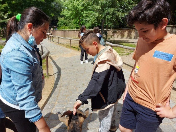 IMG-20220621-WA0005_618_463_90