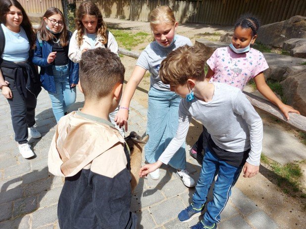 IMG-20220621-WA0007_618_463_90