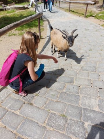 IMG-20220621-WA0008_367_490_90