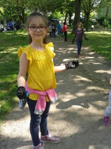 MOL-Sauberes-HUckarde