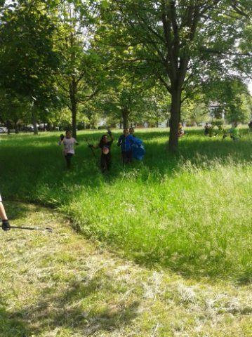 MOL-Sauberes-HUckarde