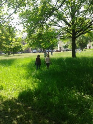 MOL-Sauberes-HUckarde