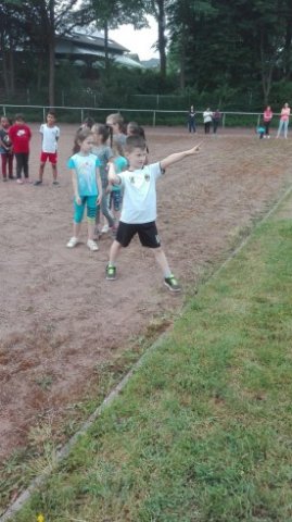 MOL-Sportfest