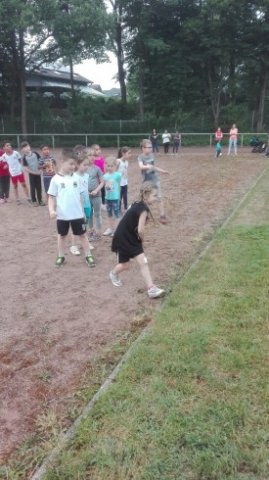 MOL-Sportfest