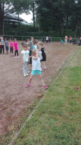 MOL-Sportfest