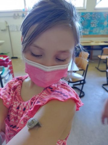 IMG-20210616-WA0004_367_490_90