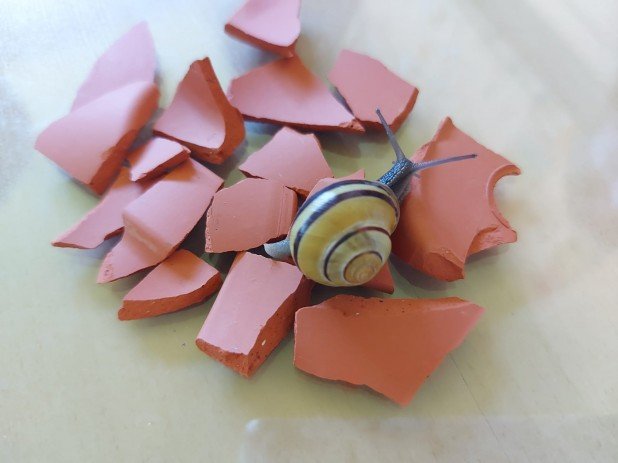 IMG-20210616-WA0008_618_463_90