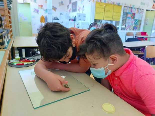 IMG-20210616-WA0011_618_463_90