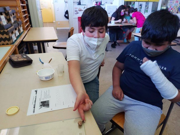 IMG-20210616-WA0015_618_463_90