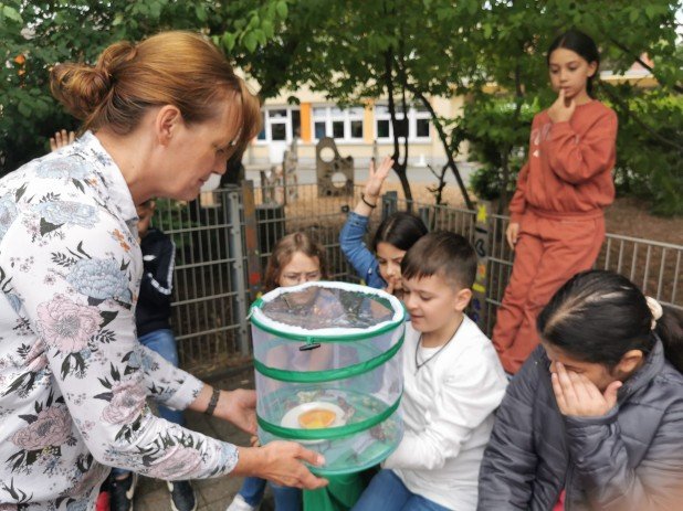 IMG_20220610_132936_618_463_90