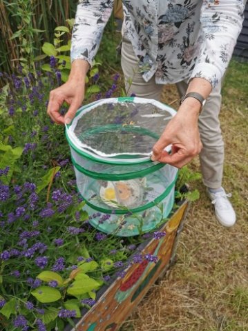 IMG_20220610_133150_367_490_90