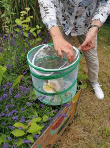 IMG_20220610_133152_367_490_90