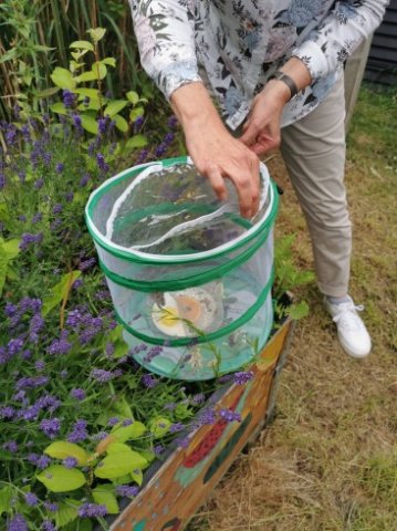 IMG_20220610_133153_367_490_90