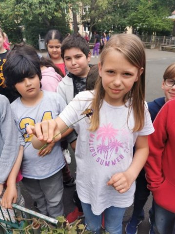 IMG_20220610_133439_367_490_90