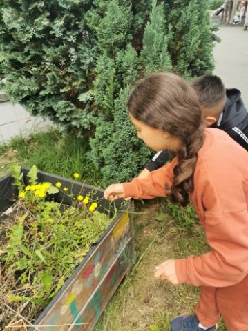 IMG_20220610_133713_367_490_90